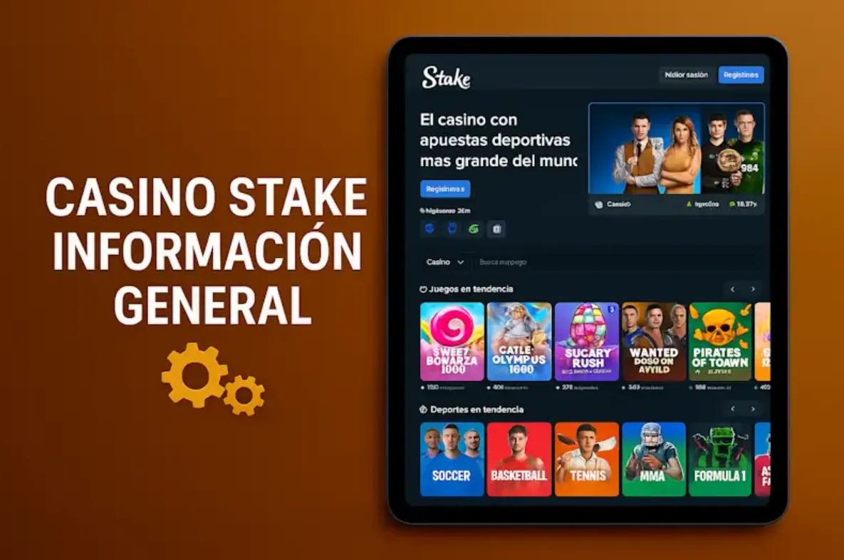 Casino Stake: información general